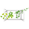 TEE_ripiantumazione